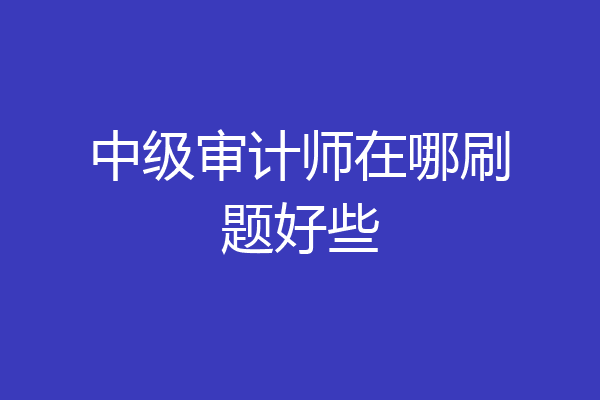 中级审计师在哪刷题好些