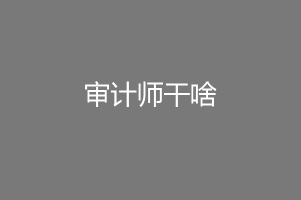 审计师干啥