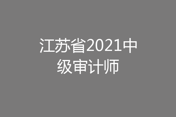 江苏省2021中级审计师