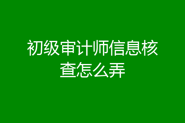 初级审计师信息核查怎么弄
