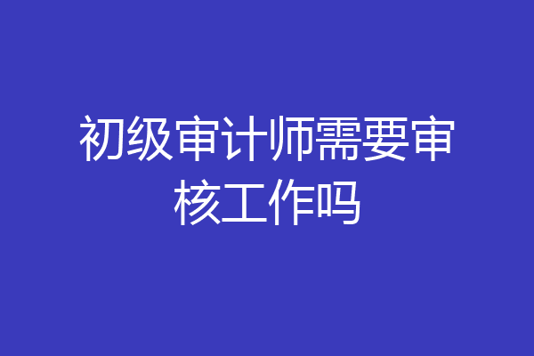 初级审计师需要审核工作吗