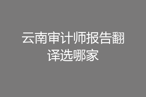 云南审计师报告翻译选哪家