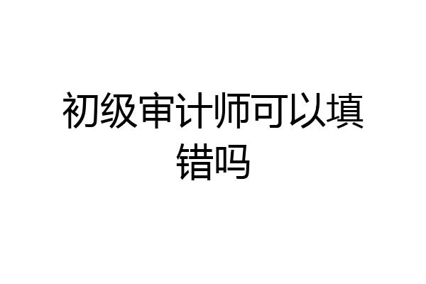 初级审计师可以填错吗