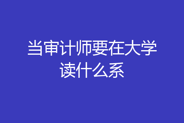 当审计师要在大学读什么系