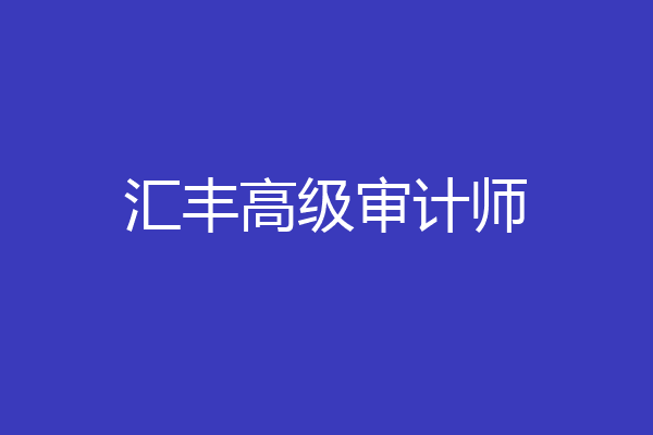 汇丰高级审计师