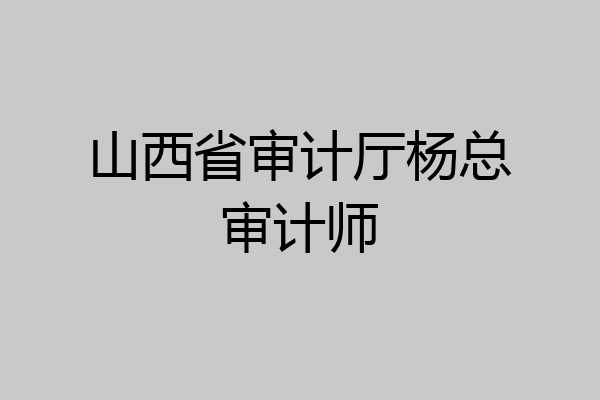 山西省审计厅杨总审计师