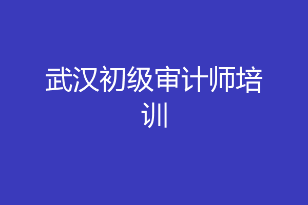 武汉初级审计师培训