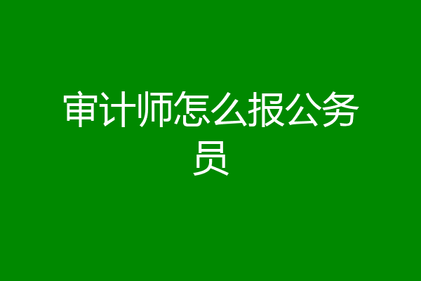 审计师怎么报公务员
