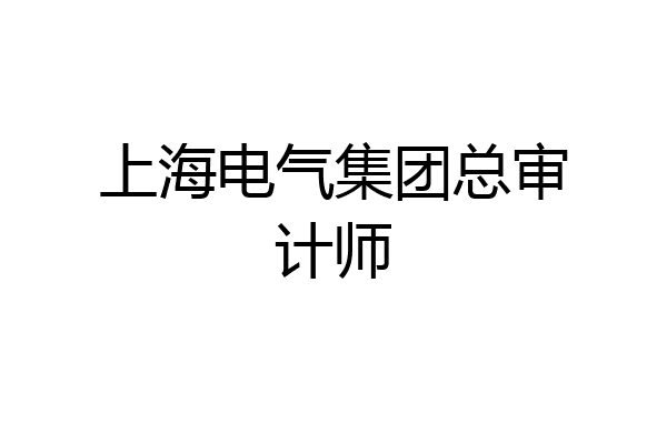 上海电气集团总审计师