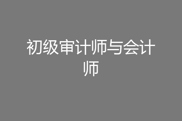初级审计师与会计师