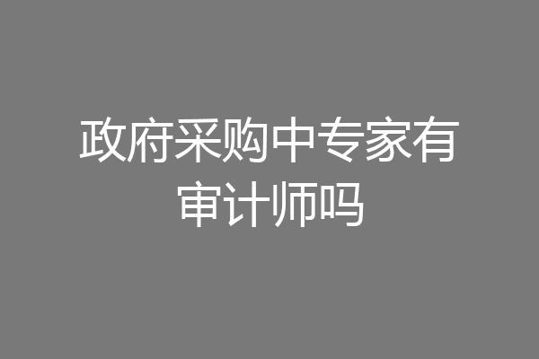 政府采购中专家有审计师吗