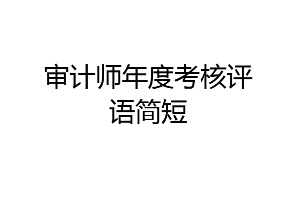 审计师年度考核评语简短