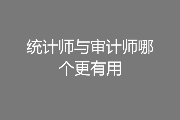 统计师与审计师哪个更有用