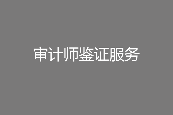 审计师鉴证服务