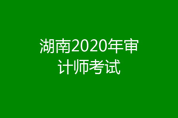 湖南2020年审计师考试