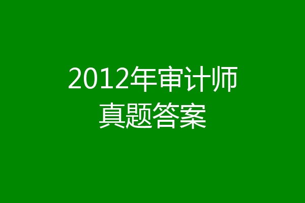 2012年审计师真题答案