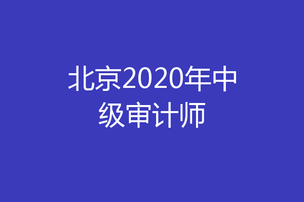 北京2020年中级审计师