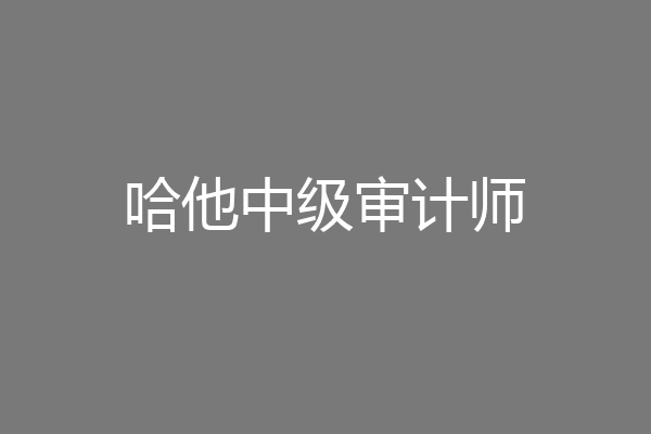 哈他中级审计师
