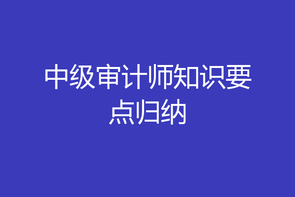 中级审计师知识要点归纳