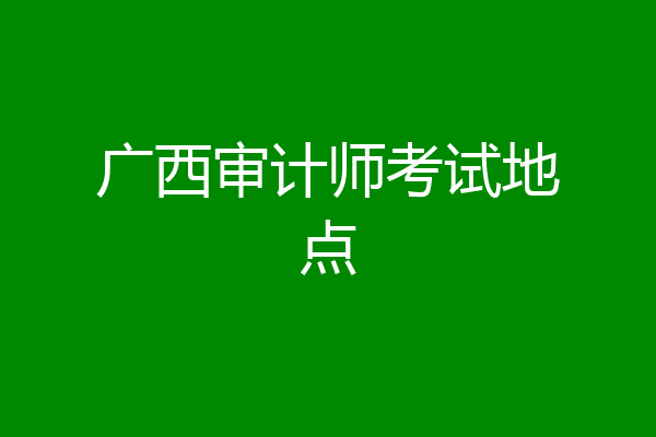 广西审计师考试地点