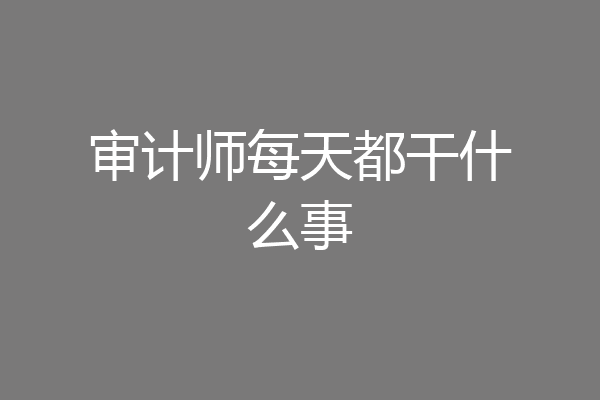 审计师每天都干什么事