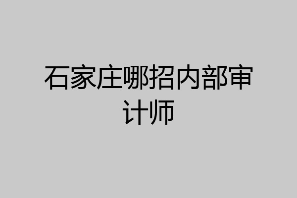 石家庄哪招内部审计师