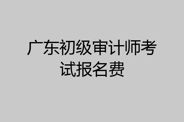 广东初级审计师考试报名费