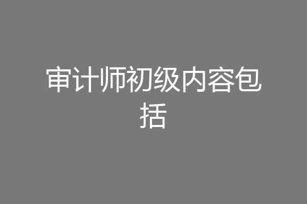 审计师初级内容包括