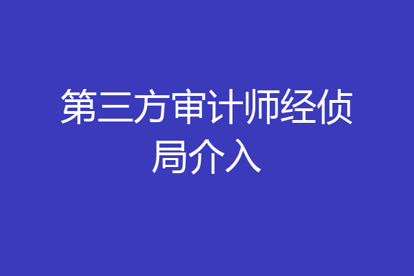第三方审计师经侦局介入