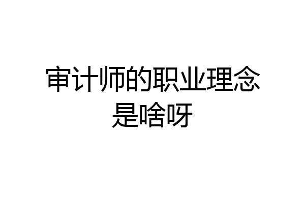 审计师的职业理念是啥呀