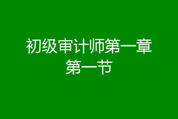 初级审计师第一章第一节