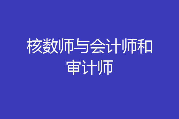核数师与会计师和审计师
