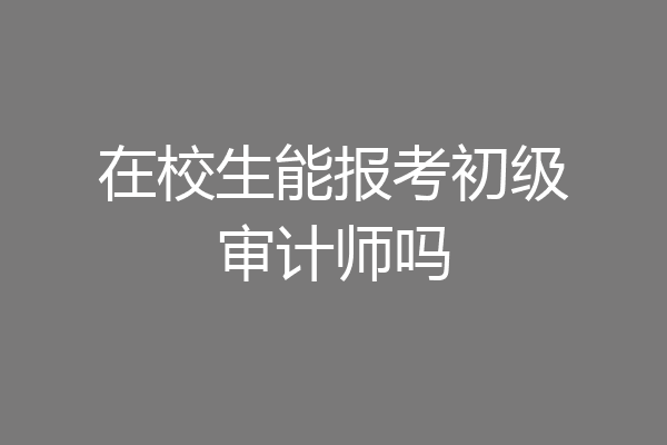 在校生能报考初级审计师吗