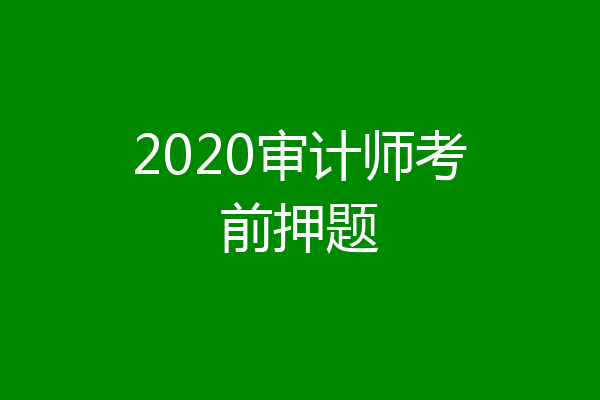 2020审计师考前押题