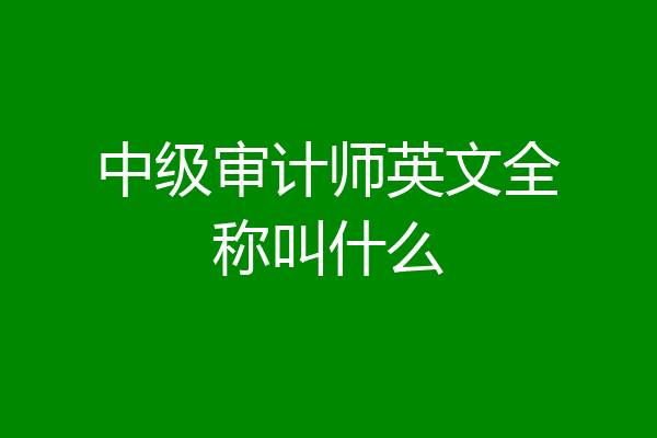 中级审计师英文全称叫什么