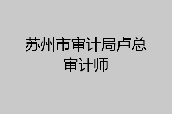 苏州市审计局卢总审计师