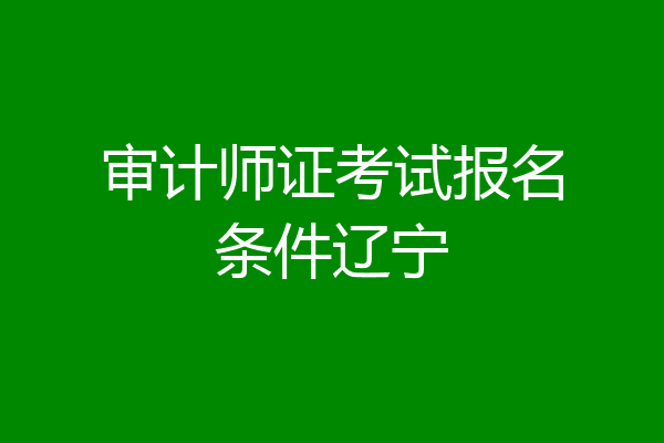 审计师证考试报名条件辽宁