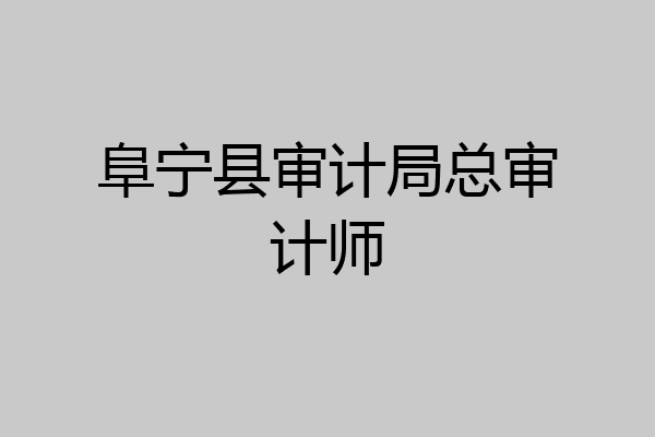 阜宁县审计局总审计师