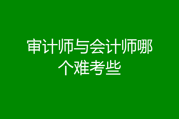 审计师与会计师哪个难考些