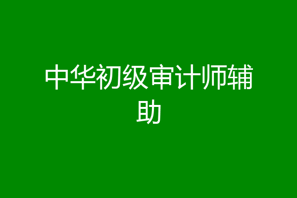 中华初级审计师辅助