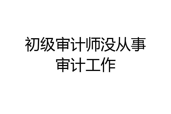 初级审计师没从事审计工作