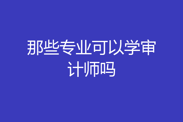 那些专业可以学审计师吗