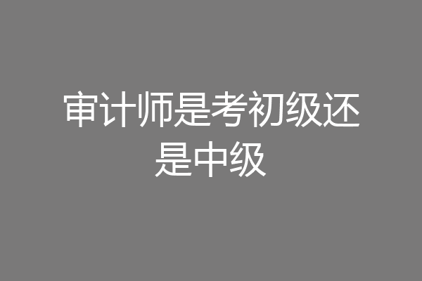 审计师是考初级还是中级