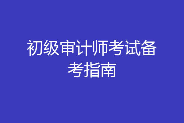 初级审计师考试备考指南