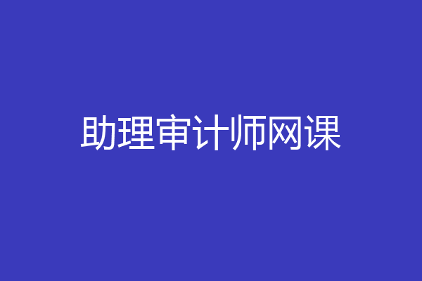 助理审计师网课