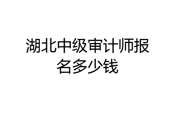 湖北中级审计师报名多少钱