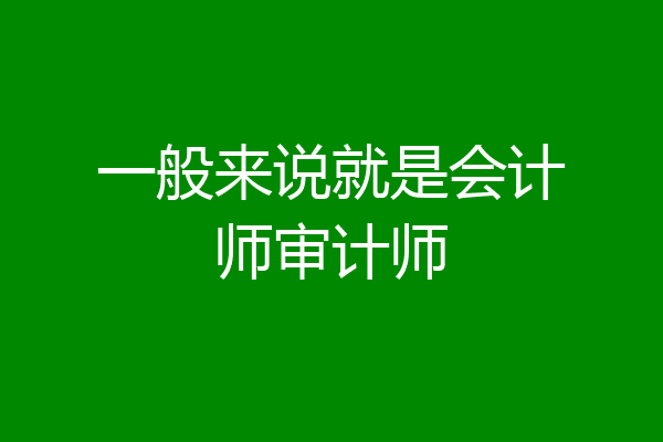 一般来说就是会计师审计师