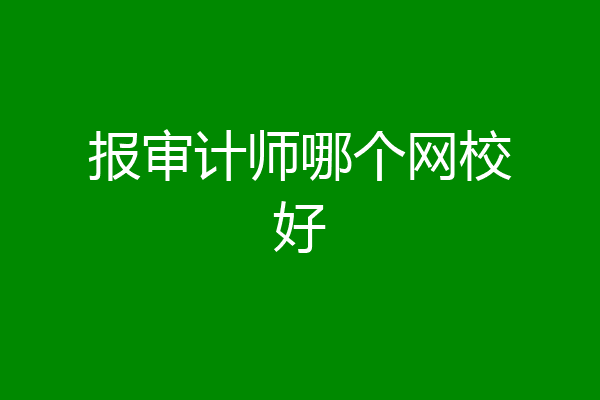 报审计师哪个网校好