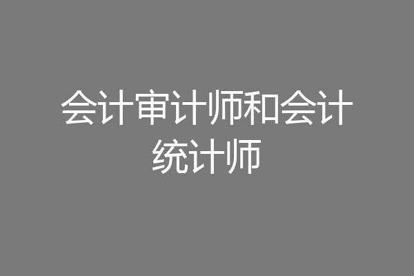 会计审计师和会计统计师