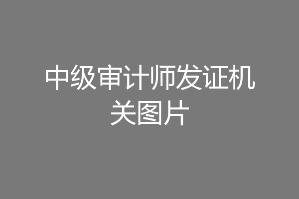 中级审计师发证机关图片